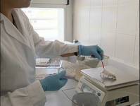 pruebas-ratones-sciencepics