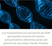 Trnasposones
