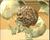 cerebro-sciencepics cerebro-sciencepics