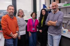 grupo galactosemia