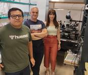 EQUIPO INVESTIGADOR