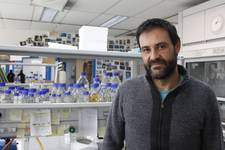 El investigador de la UPO Víctor Álvarez